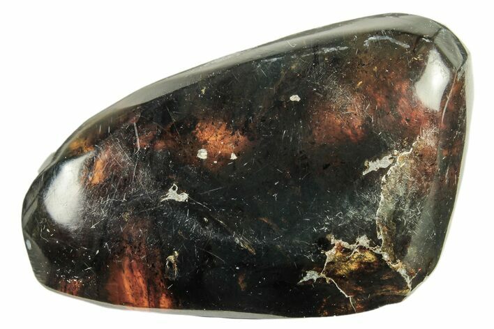 Polished Chiapas Amber ( g) - Mexico #274450